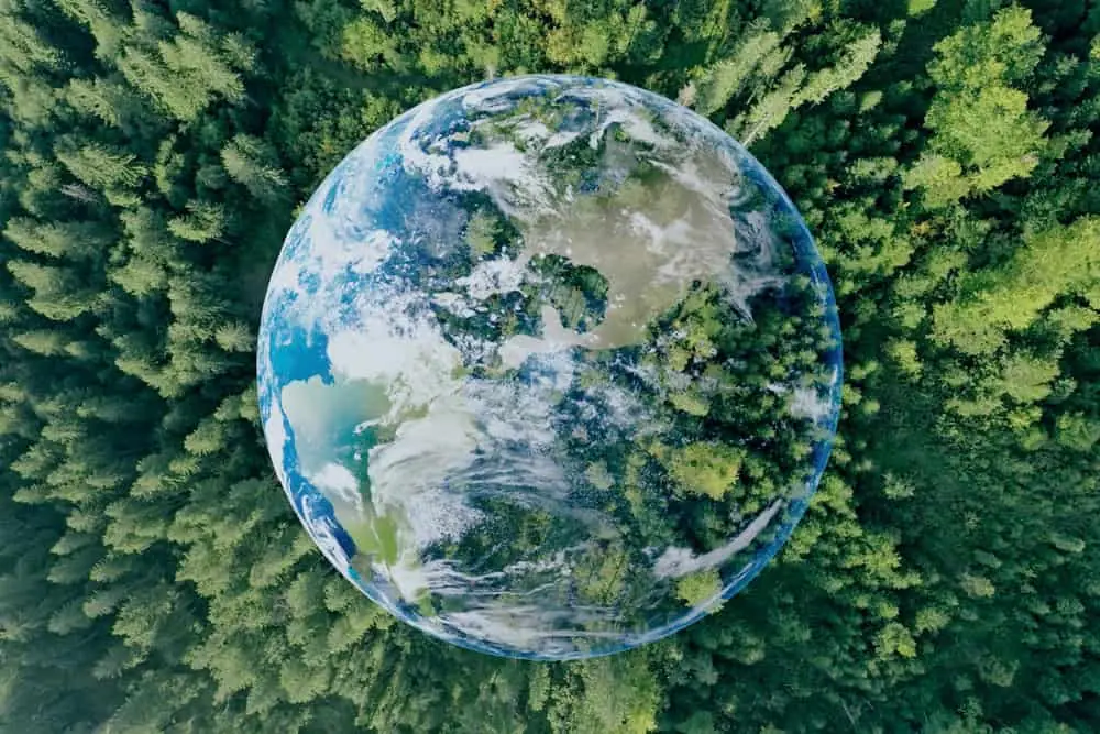 Rapport sur les émissions : In Focus 2021