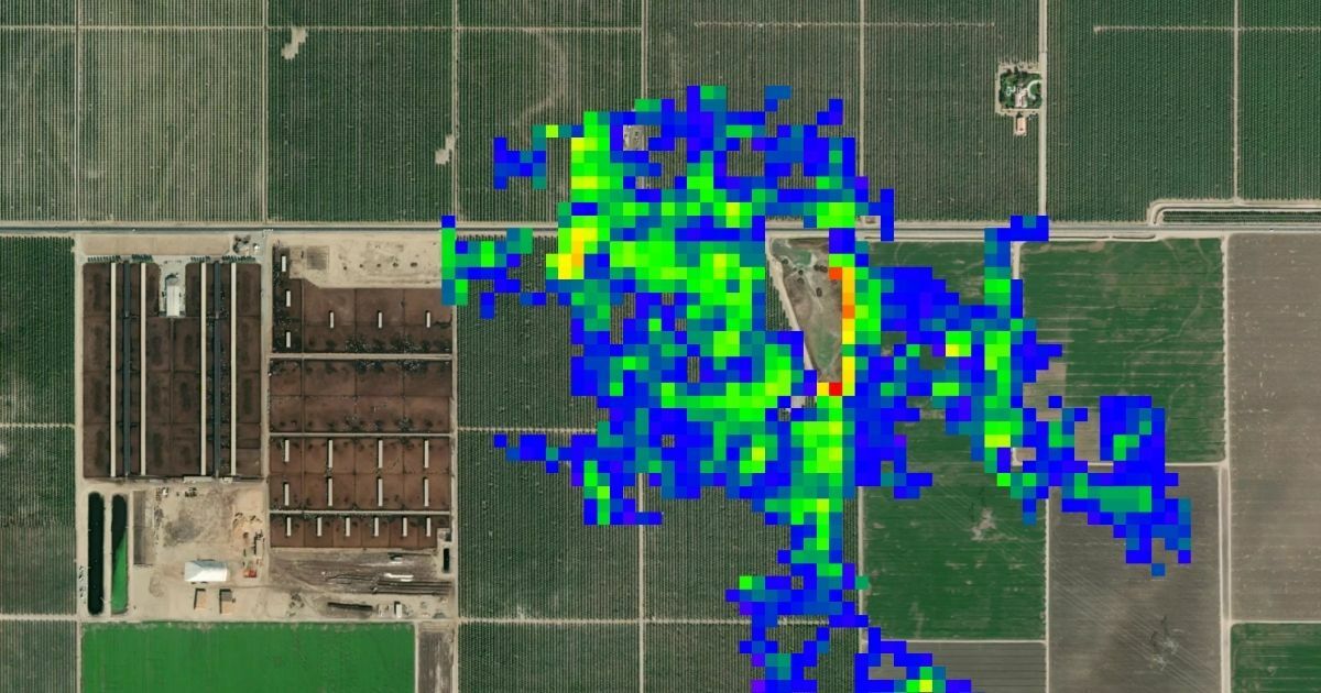 Cattle Burp Methane Emissions Measured From Space for First Time