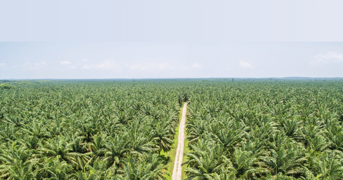 Methane Emissions Detected from Palm Oil Mills