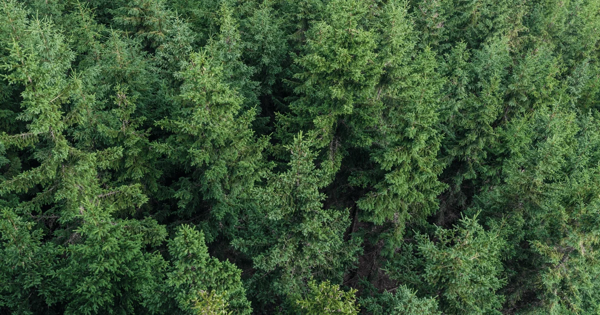 How does methane affect the environment?