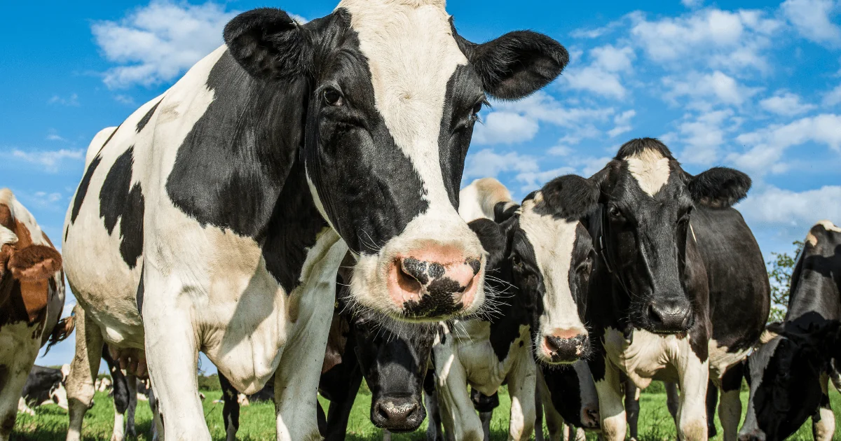 6 main contributors to greenhouse gases in the US