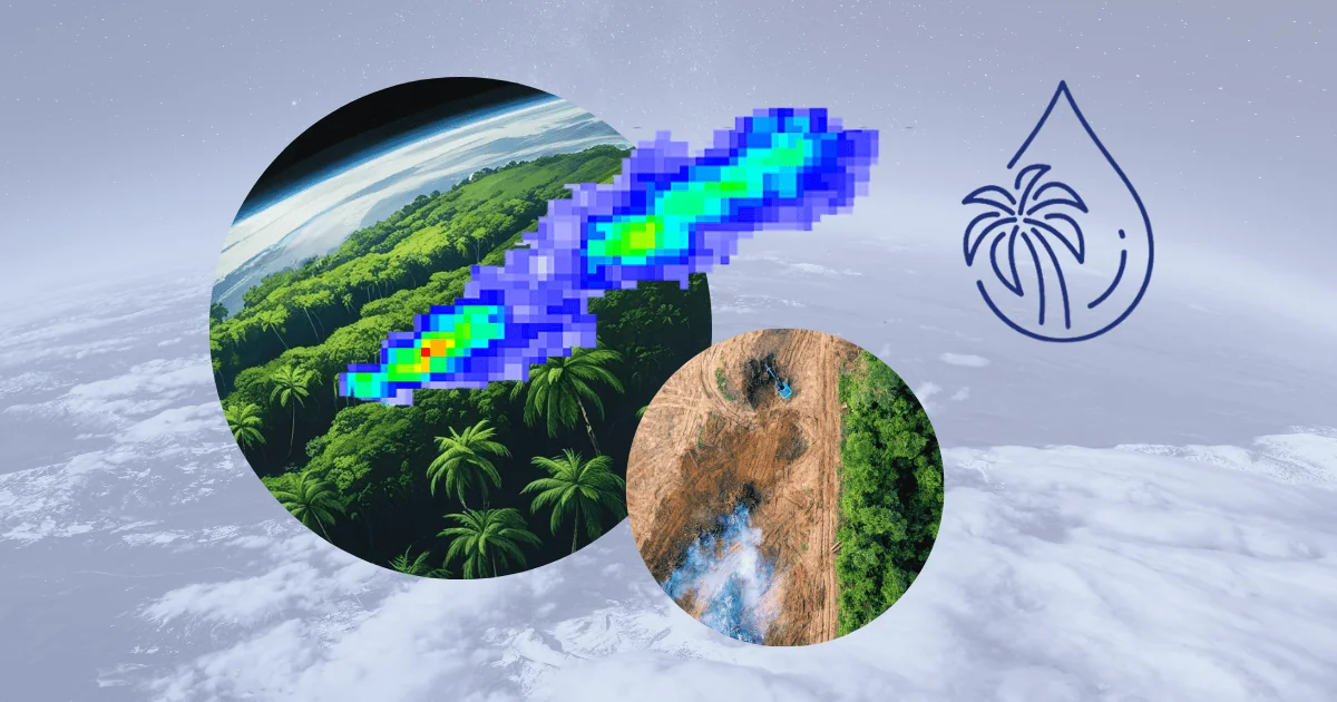 Satellites Highlight Methane Emissions from Palm Oil Production—And Point Towards Solutions